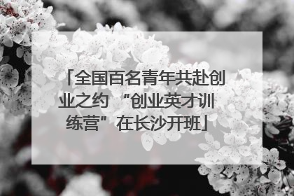 全国百名青年共赴创业之约 “创业英才训练营”在长沙开班