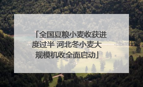 全国夏粮小麦收获进度过半 河北冬小麦大规模机收全面启动