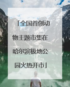 全国首创动物主题市集在哈尔滨极地公园火热开市