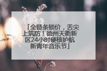 全链条锁价，舌尖上筑防！德州天衢新区24小时硬核护航新青年音乐节