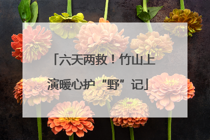 六天两救！竹山上演暖心护“野”记