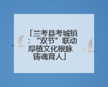 兰考县考城镇：“双节”联动 厚植文化根脉铸魂育人