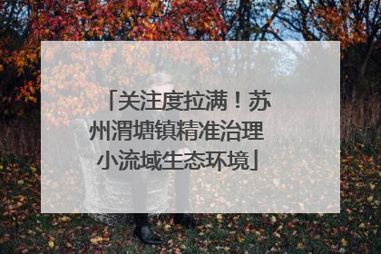关注度拉满！苏州渭塘镇精准治理小流域生态环境