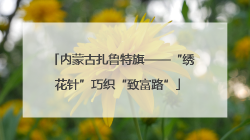 内蒙古扎鲁特旗——“绣花针”巧织“致富路”