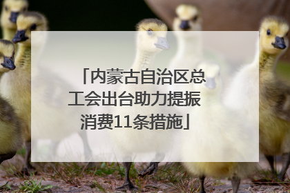 内蒙古自治区总工会出台助力提振消费11条措施