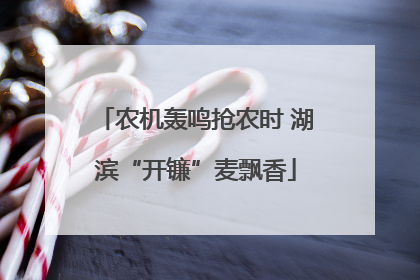 农机轰鸣抢农时 湖滨“开镰”麦飘香