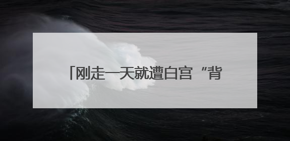 刚走一天就遭白宫“背刺”，马斯克：很失望