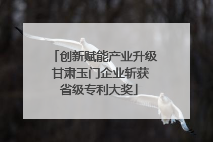 创新赋能产业升级 甘肃玉门企业斩获省级专利大奖