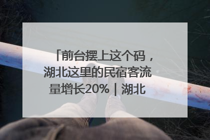 前台摆上这个码，湖北这里的民宿客流量增长20%｜湖北市场监管所的故事