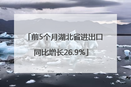 前5个月湖北省进出口同比增长26.9%