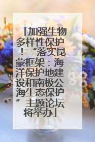 加强生物多样性保护！“落实昆蒙框架：海洋保护地建设和南极公海生态保护”主题论坛将举办