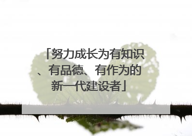 努力成长为有知识、有品德、有作为的新一代建设者