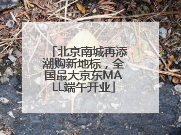 北京南城再添潮购新地标，全国最大京东MALL端午开业