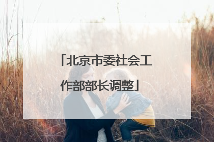 北京市委社会工作部部长调整