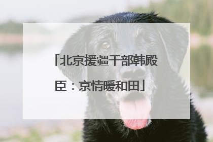 北京援疆干部韩殿臣：京情暖和田