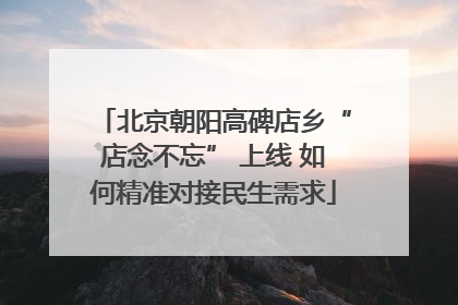 北京朝阳高碑店乡“店念不忘” 上线 如何精准对接民生需求