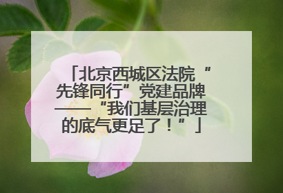 北京西城区法院“先锋同行”党建品牌——“我们基层治理的底气更足了！”