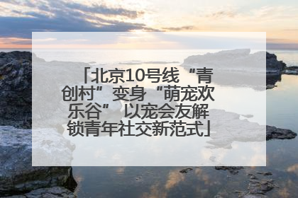 北京10号线“青创村”变身“萌宠欢乐谷” 以宠会友解锁青年社交新范式