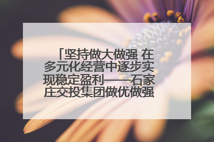 坚持做大做强 在多元化经营中逐步实现稳定盈利——石家庄交投集团做优做强典型报道之三