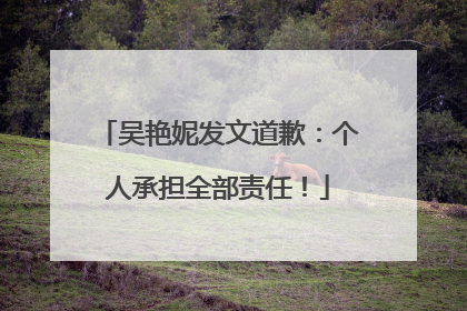 吴艳妮发文道歉：个人承担全部责任！