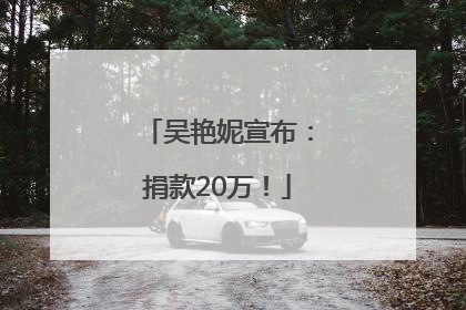 吴艳妮宣布：捐款20万！