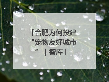 合肥为何投建“宠物友好城市”｜智库