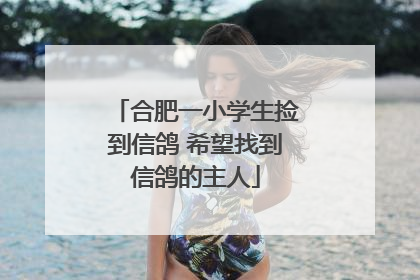 合肥一小学生捡到信鸽 希望找到信鸽的主人