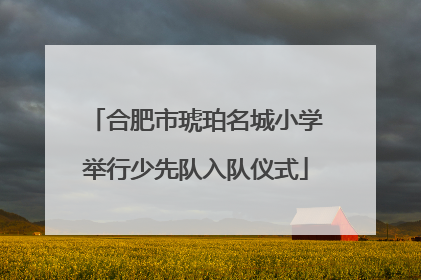 合肥市琥珀名城小学举行少先队入队仪式