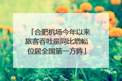 合肥机场今年以来旅客吞吐量同比增幅位居全国第一方阵