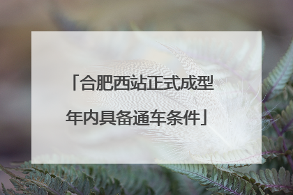 合肥西站正式成型 年内具备通车条件