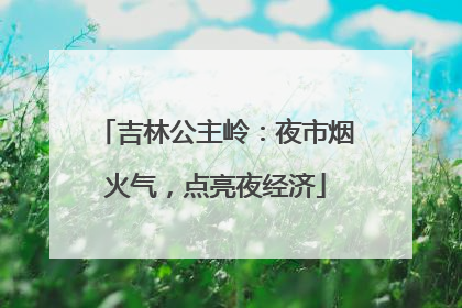 吉林公主岭：夜市烟火气，点亮夜经济