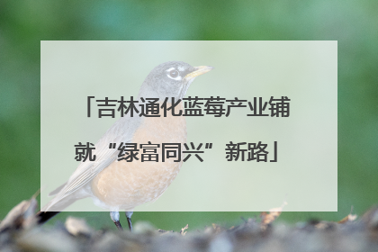 吉林通化蓝莓产业铺就“绿富同兴”新路