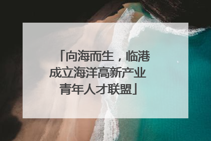 向海而生，临港成立海洋高新产业青年人才联盟