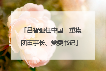 吕智强任中国一重集团董事长、党委书记