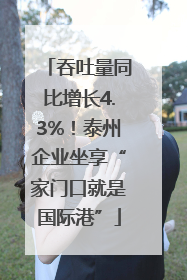 吞吐量同比增长4.3%！泰州企业坐享“家门口就是国际港”