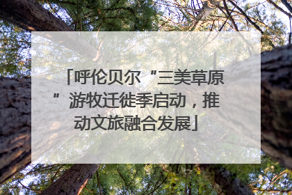 呼伦贝尔“三美草原”游牧迁徙季启动，推动文旅融合发展
