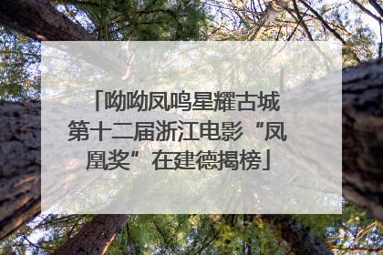 呦呦凤鸣星耀古城 第十二届浙江电影“凤凰奖”在建德揭榜