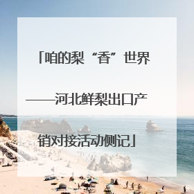 咱的梨“香”世界——河北鲜梨出口产销对接活动侧记