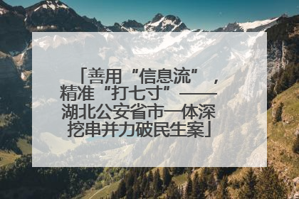 善用“信息流”，精准“打七寸”——湖北公安省市一体深挖串并力破民生案