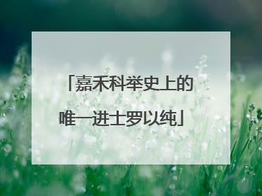嘉禾科举史上的唯一进士罗以纯