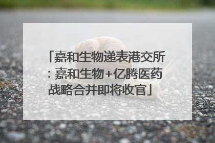 嘉和生物递表港交所：嘉和生物+亿腾医药战略合并即将收官