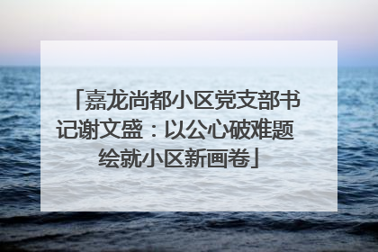 嘉龙尚都小区党支部书记谢文盛：以公心破难题 绘就小区新画卷