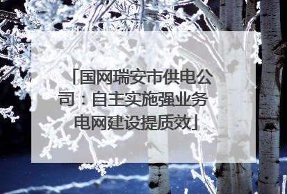 国网瑞安市供电公司：自主实施强业务 电网建设提质效