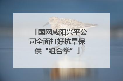 国网咸阳兴平公司全面打好抗旱保供“组合拳”