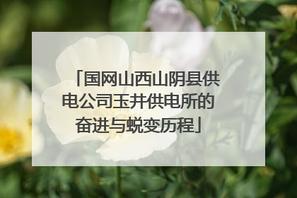 国网山西山阴县供电公司玉井供电所的奋进与蜕变历程