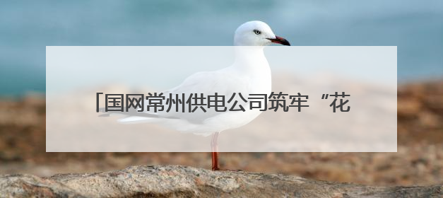 国网常州供电公司筑牢“花木之乡”电网抗灾减灾根基