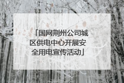 国网荆州公司城区供电中心开展安全用电宣传活动
