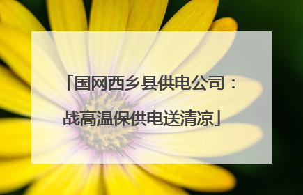 国网西乡县供电公司：战高温保供电送清凉