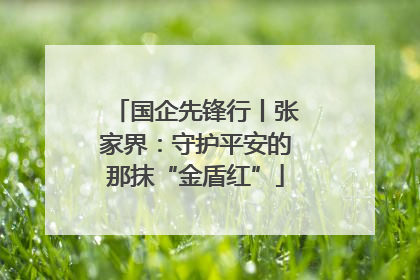 国企先锋行丨张家界：守护平安的那抹“金盾红”