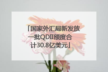 国家外汇局新发放一批QDII额度合计30.8亿美元